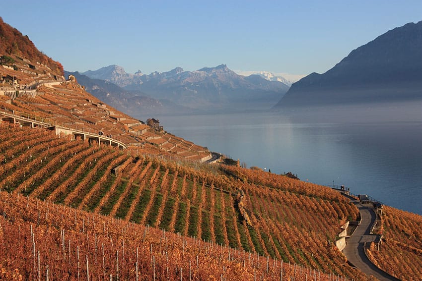 velo-en-suisse